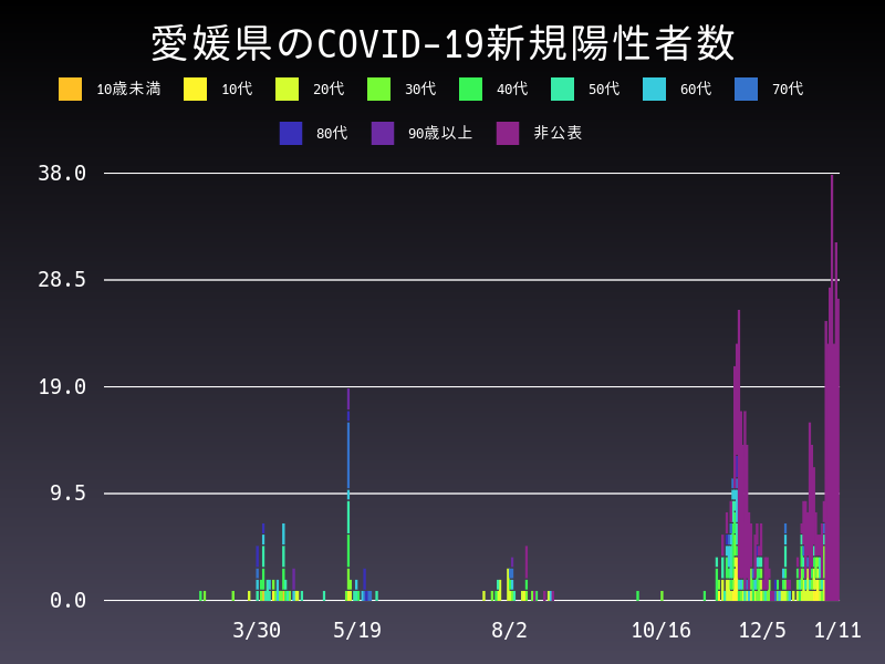 2021年1月11日 愛媛県 新型コロナウイルス新規陽性者数 グラフ