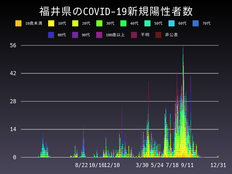 2021年12月31日 福井県 新型コロナウイルス新規陽性者数 グラフ