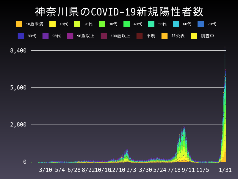 2022年1月31日 神奈川県 新型コロナウイルス新規陽性者数 グラフ