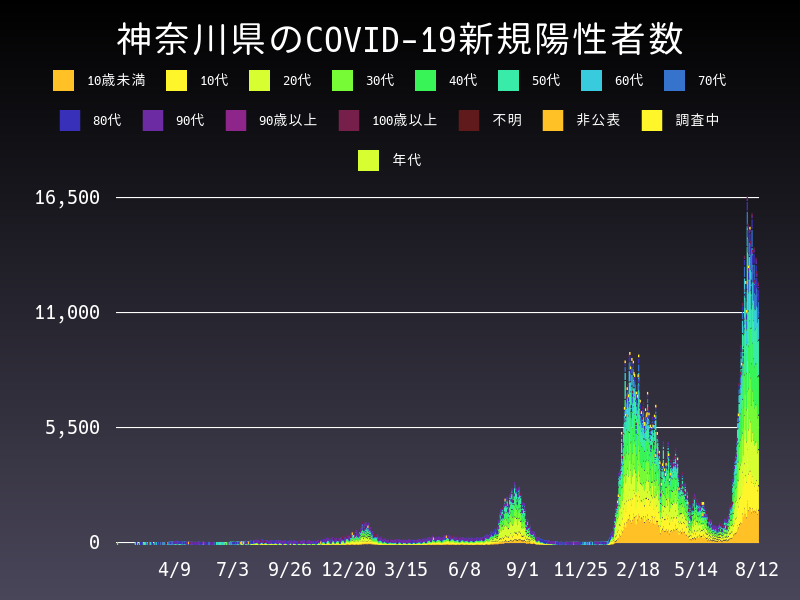 2022年8月12日 神奈川県 新型コロナウイルス新規陽性者数 グラフ